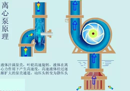 看圖秒懂 17種泵的工作原理及性能特點展示圖- 看圖秒懂 17種泵的工作原理及性能特點展示圖-