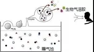 住建部:如何應(yīng)對新冠病毒從馬桶到水環(huán)境的潛在傳輸途徑?- 住建部:如何應(yīng)對新冠病毒從馬桶到水環(huán)境的潛在傳輸途徑?-