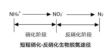 生化法除氨氮的技術匯總!- 生化法除氨氮的技術匯總!-