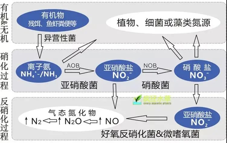 流體展|面對低濃度氨氮工業(yè)廢水束手無策?這幾種方法可以解決- 流體展|面對低濃度氨氮工業(yè)廢水束手無策?這幾種方法可以解決-