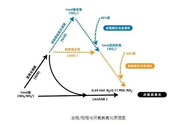 流體展|面對低濃度氨氮工業(yè)廢水束手無策?這幾種方法可以解決- 流體展|面對低濃度氨氮工業(yè)廢水束手無策?這幾種方法可以解決-